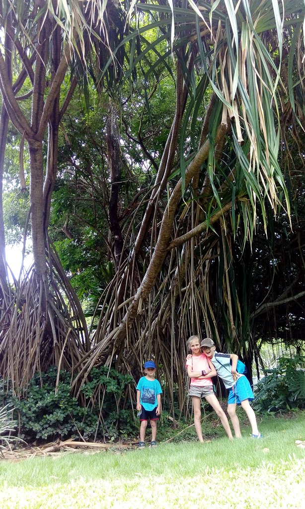 australijska przyroda jest zdumiewająca